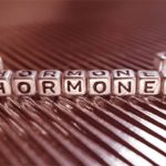 Voeding heeft invloed op hormonen.