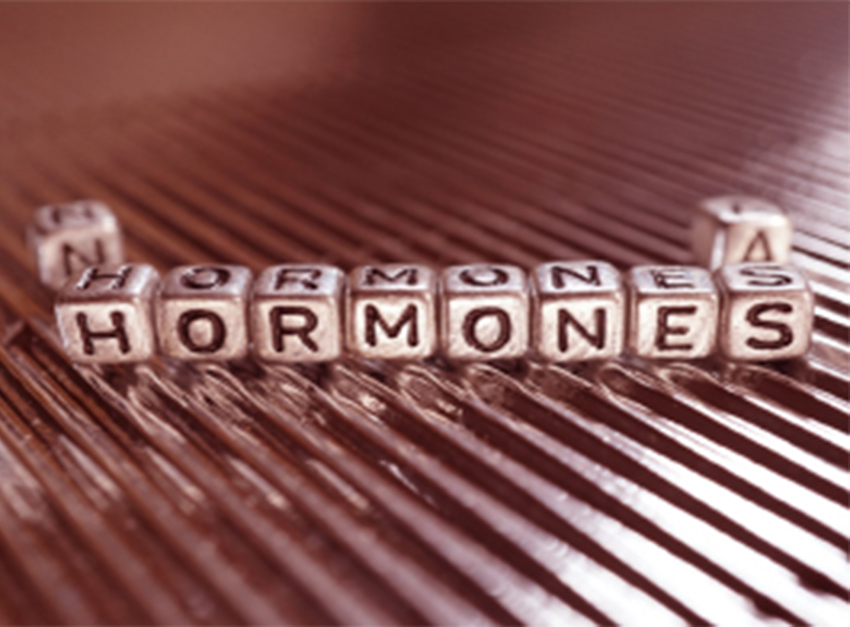 Voeding heeft invloed op hormonen.